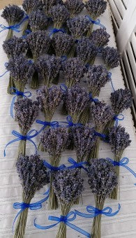 Marturii nunta + botez borcanel miere si buchet lavanda
